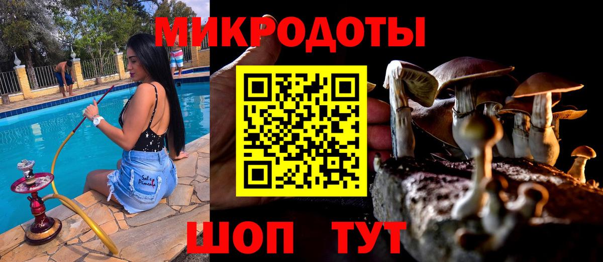 Галлюциногенные грибы Psilocybine cubensis  Вход с VPN  Мелеуз 